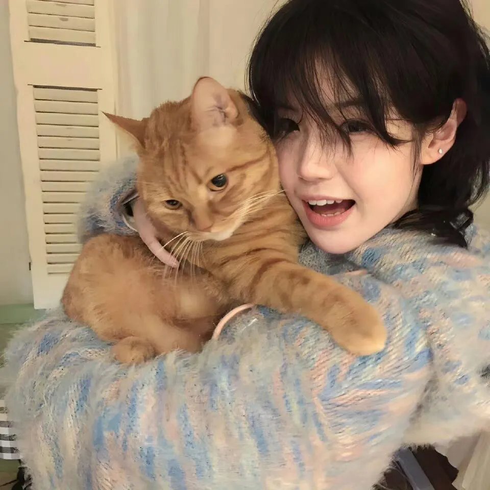 婚情漫漫，律师前任求复合